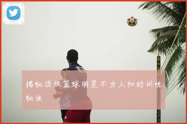 揭秘顶级篮球明星不为人知的训练秘诀